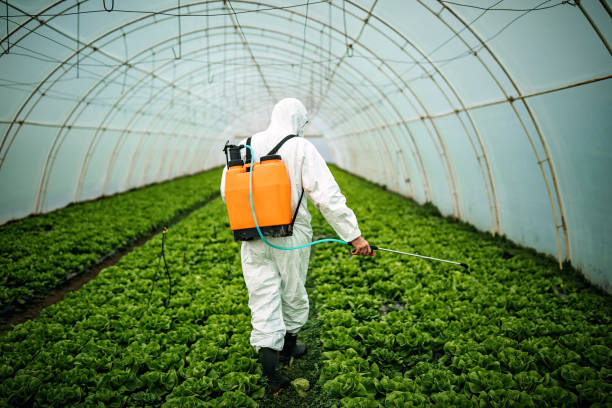 Best Pest Inspection Near Me  in Bren Bow, OK