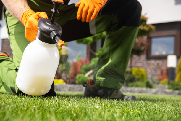 Best Local Pest Control Services  in Bren Bow, OK