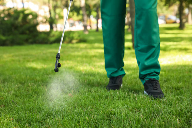 Best Affordable Pest Control Services  in Bren Bow, OK