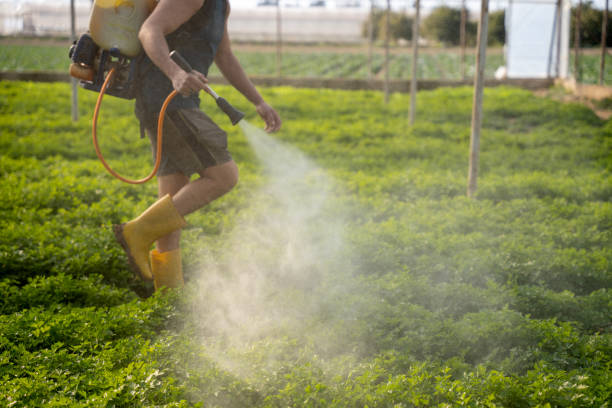 Pest Control Cost in Broken Bow, OK